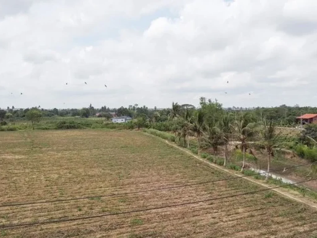 ขาย ที่ดิน ตดอนปรู อศรีประจันต์ จสุพรรณบุรี ติดคลอง ติดทางสาธารณประโยชน์