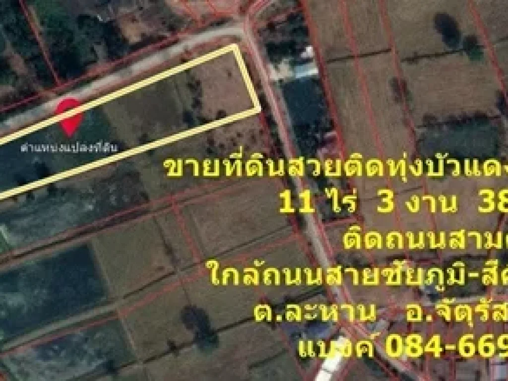 ขายที่ดินสวยติดทุ่งบัวแดง บ้านดอนละนาม 11 ไร่ 3 งาน 381 ตรว