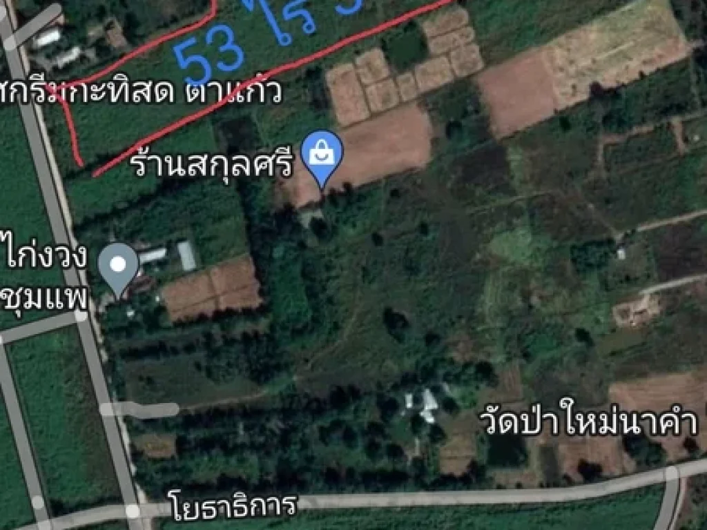 ขายที่ดิน จขอนแก่น อชุมแพ ตหนองไผ่ 53 ไร่ 3 งาน 34 ตรว ขายไร่ละ 300000