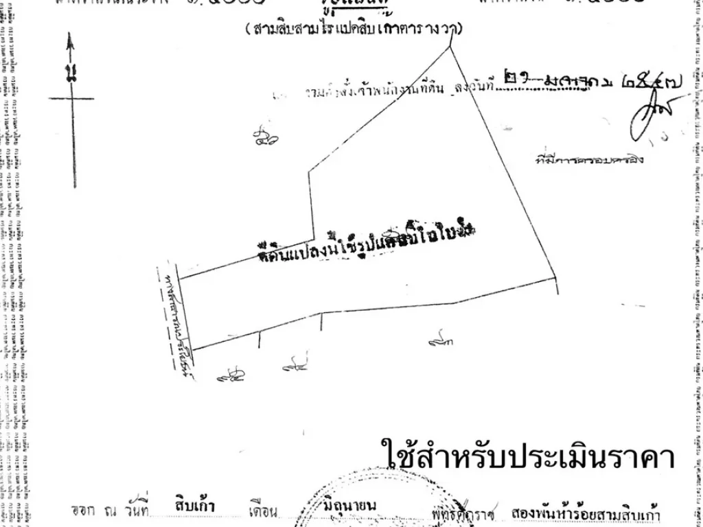 ขายที่ดิน จขอนแก่น อชุมแพ ตหนองไผ่ 53 ไร่ 3 งาน 34 ตรว ขายไร่ละ 300000