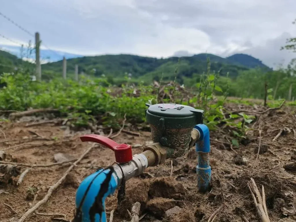 ขายที่ธรรมชาติ ขายความสุขที่ดินวิวเขา ลำธารน้ำไหล เล่นน้ำได้ พักผ่อนนั่งชมวิวได้สบาย อบ้านค่าย จระยอง