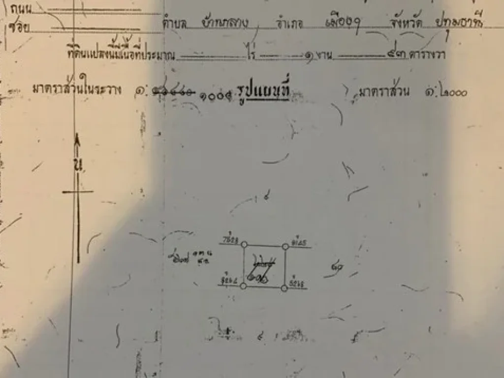 ขายด่วน ที่ดินปทุมธานี ลำลูกกา คลอง 3 ตำบลบ้านกลาง อำเภอเมืองปทุมธานี จังหวัดปทุมธานี