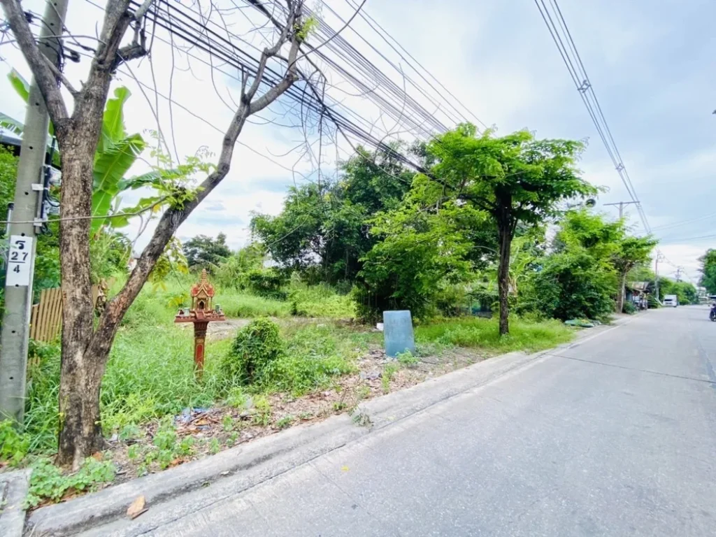 ขายที่ดิน 236 ตรว ซอยเพชรหึงส์ 23 คุ้งบางกระเจ้า อำเภอพระประแดง สมุทรปราการ