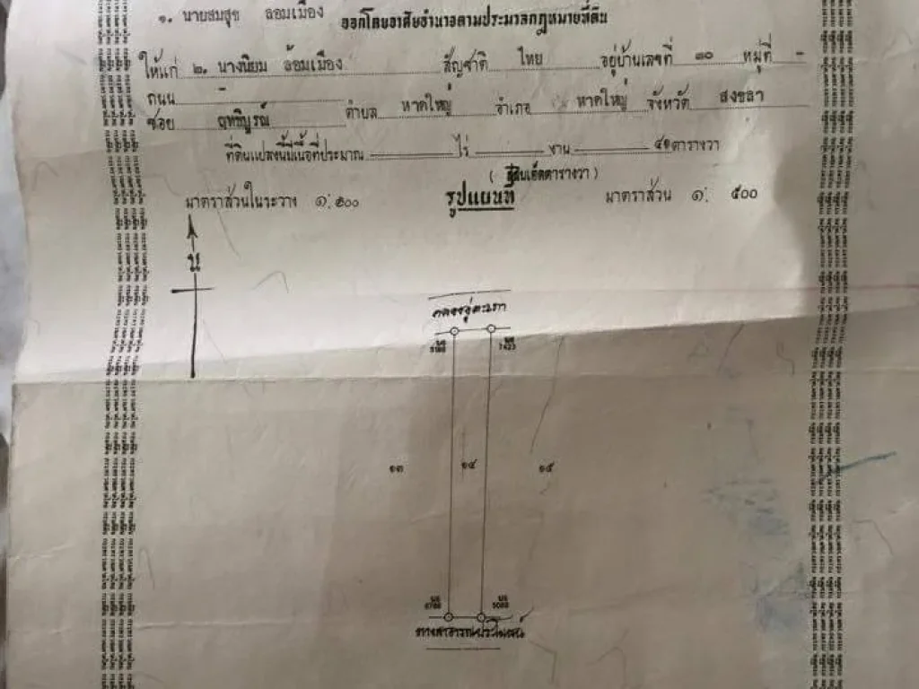 ขายที่ดินเปล่าโซนท่าเคียนหาดใหญ่ใน โฉนดพร้อมโอนเนื้อที่41ตารางวา