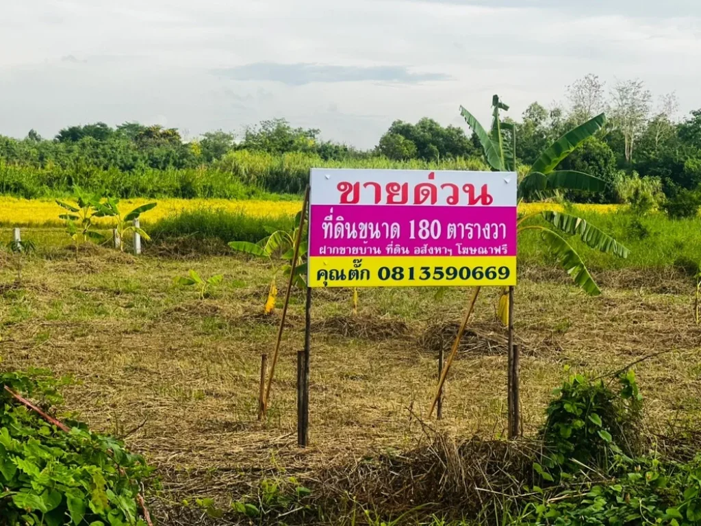 ขายที่ดินจัดสรรหมู่บ้านปัญญสิริย์ ที่ดินปัญญสิริย์