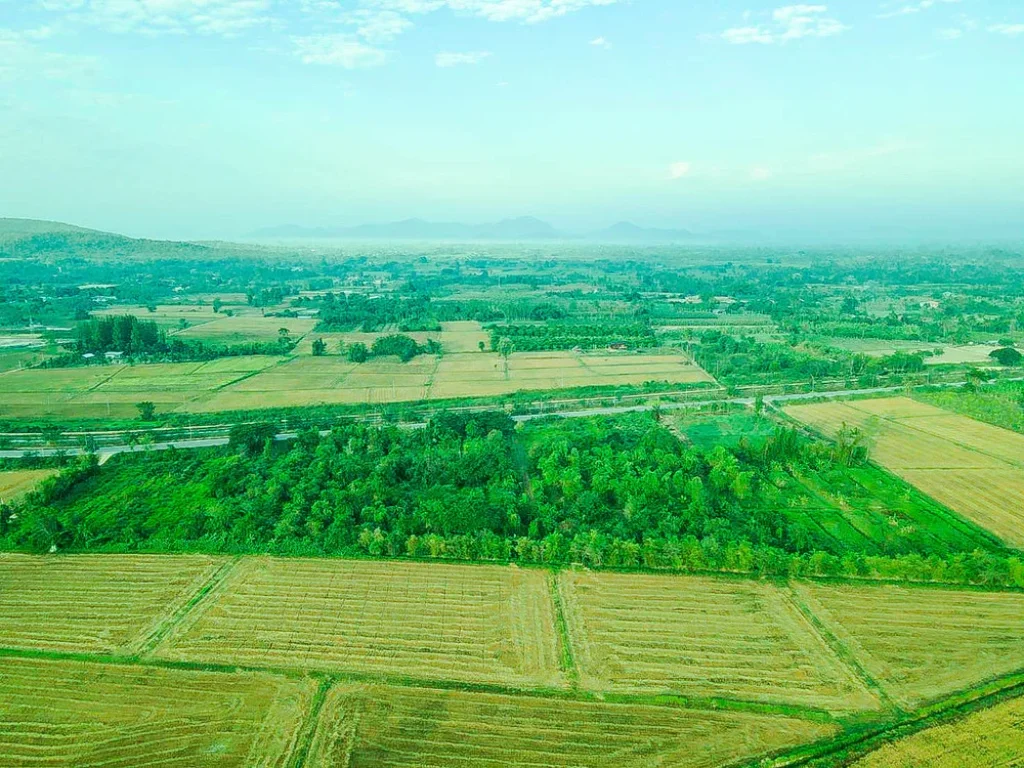 ที่ดินเลียบคลองชลประทาน ติดถนนใหญ่ ใกล้ชะอำ อท่ายาง จเพชรบุรี