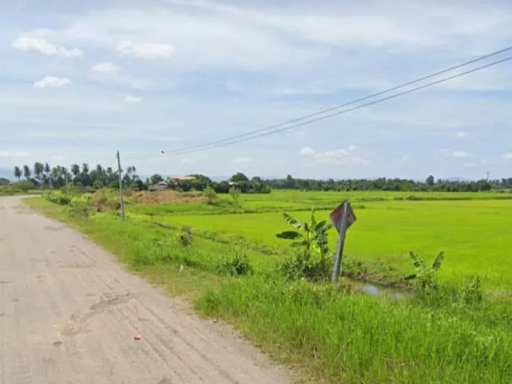 ที่นาแปลงสวย โฉนดติดถนนาดยาง มีไฟฟ้า ใกล้ชุมชน เพชรบูรณ์