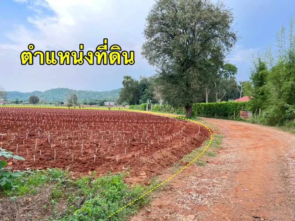 ขายที่ดิน 26 ไร่ บ้านบุ่งเตย ปากช่องเขาใหญ่ ใกล้คีรีธารทิพย์รีสอร์ท