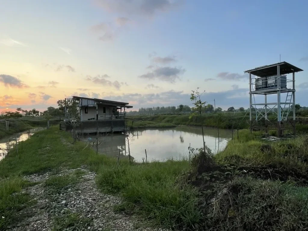 ที่โฉนด 5ไร่บ้าน1หลัง 3000000 ตบางลูกเลือ องครักษ์ นำ้ประปาไฟฟ้าพร้อม บรรยาการดี