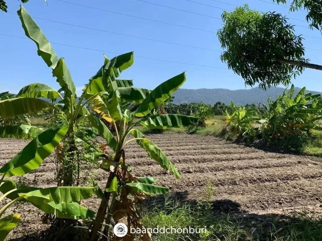 ขายที่ดินสวย ที่สุดการทำเล ติดถนน เดินทางสะดวก เมืองบางแสน ชลบุรี