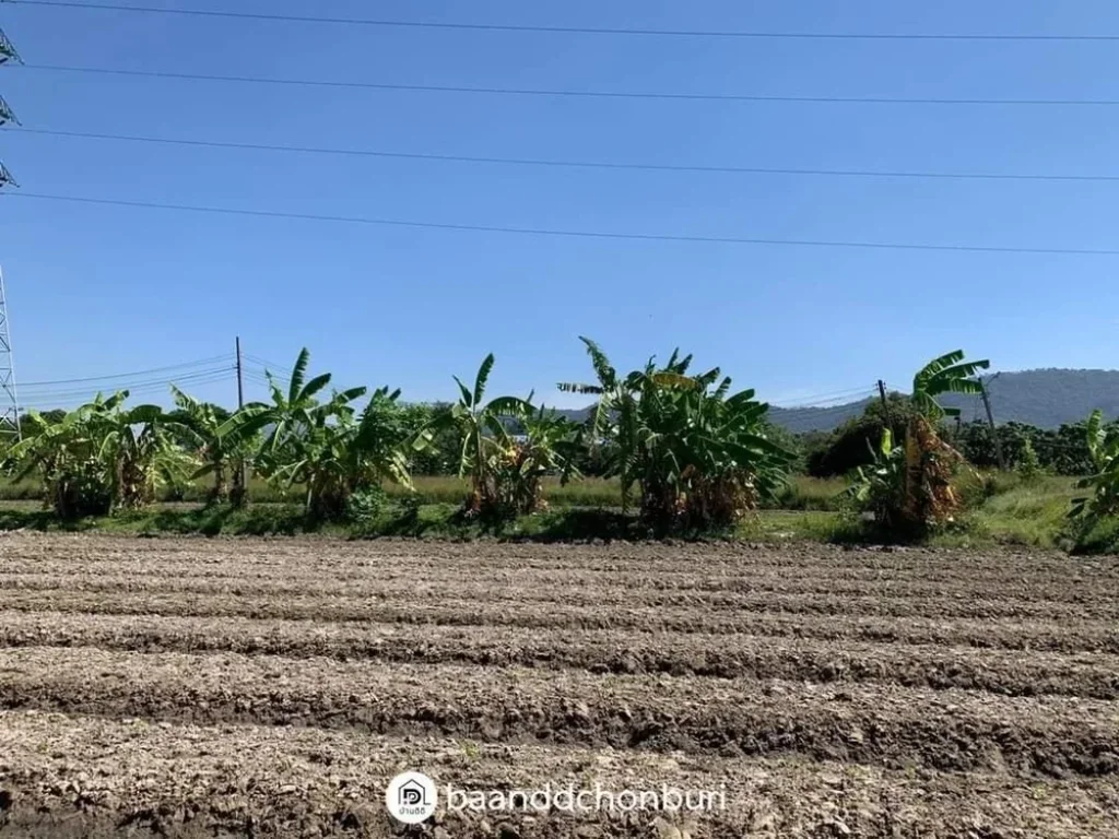 ขายที่ดินสวย ที่สุดการทำเล ติดถนน เดินทางสะดวก เมืองบางแสน ชลบุรี