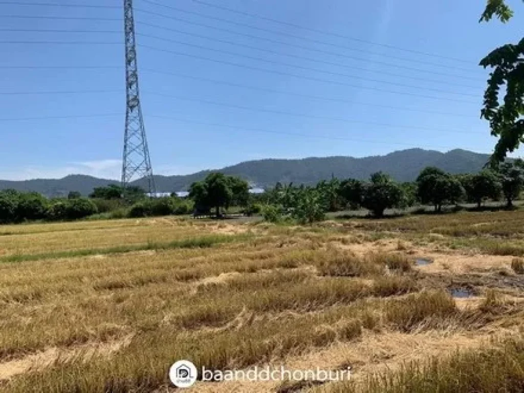 ขายที่ดินสวย ที่สุดการทำเล ติดถนน เดินทางสะดวก เมืองบางแสน ชลบุรี