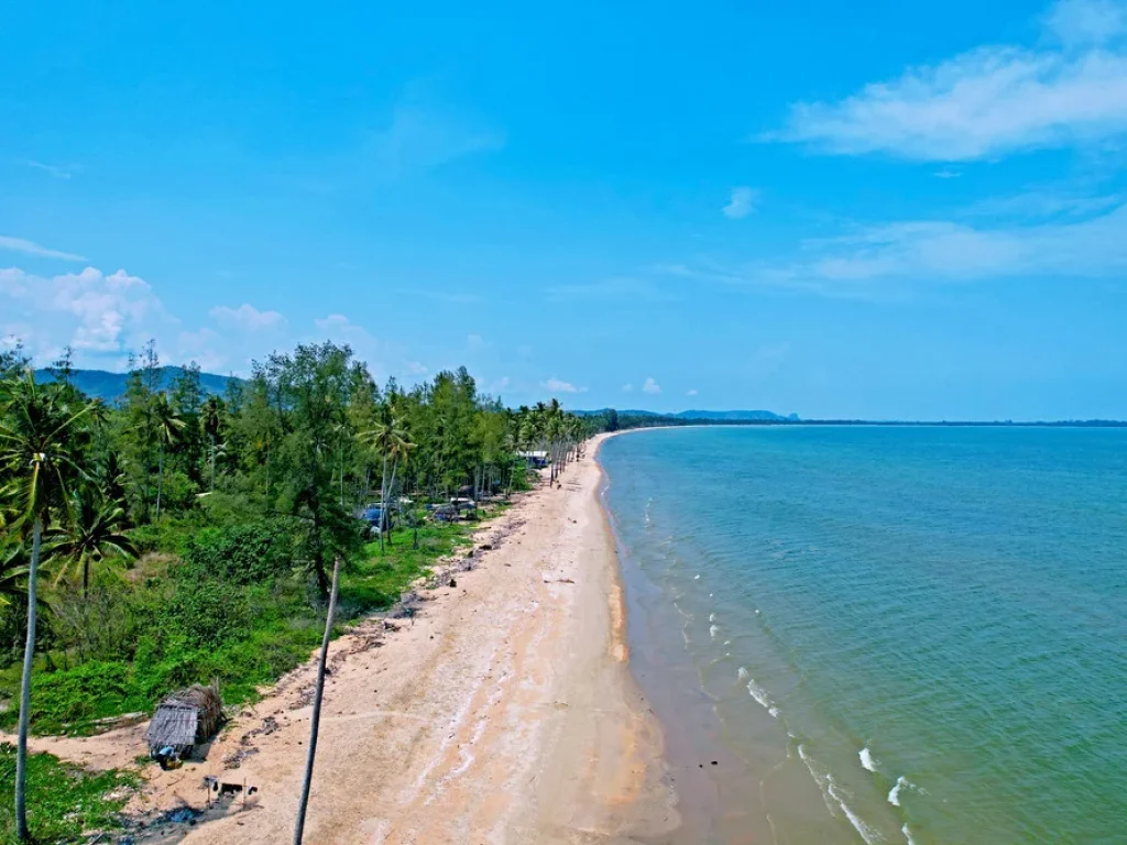 หาดตะวันฉาย ติดหาดทุกแปลง 4 แปลงสุดท้าย ที่ดินอยู่ในเขต หาดตะวันฉาย ตละแม อละแม จชุมพร ที่ดินสวยๆ ติดถนนและชายหาดส่วนตัว สู่อ่าวไทย