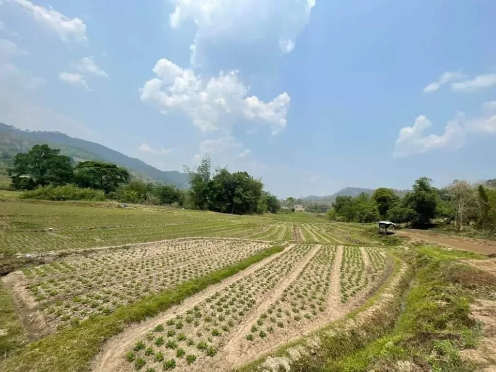 ขายที่ดินสะเมิงเหนือบ้านป่าลานติดน้ำติดภูเขาโฉนดพร้อมโอน