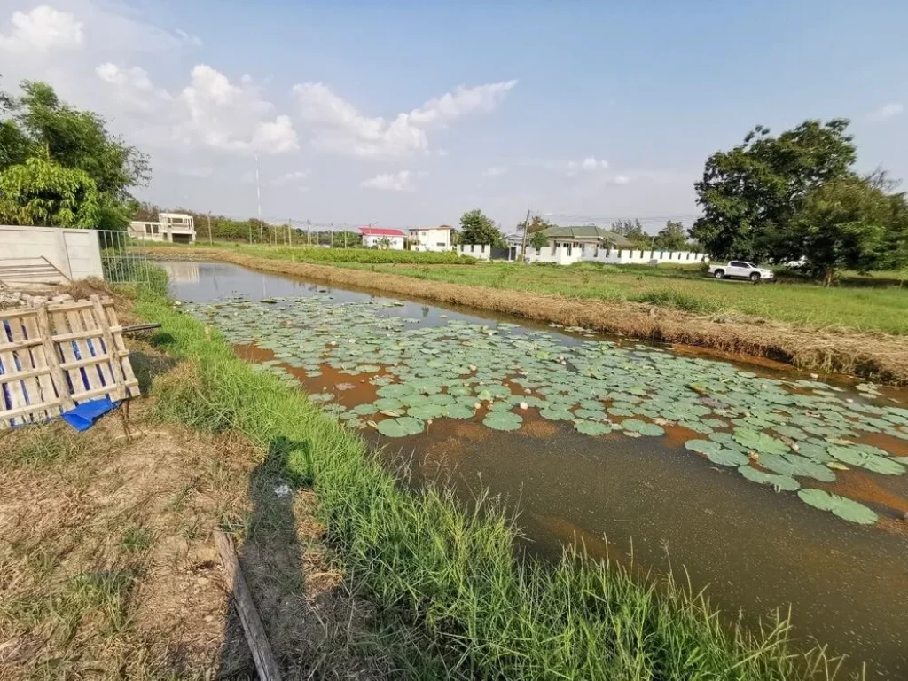 ขายที่ดิน สามโคก 88 ตรว ขายถูก ขายเท่าราคาประเมิน หมู่บ้านเดอะลากูน ปทุมธานี หาที่ดินสร้างบ้าน ขนาดกำลังดี