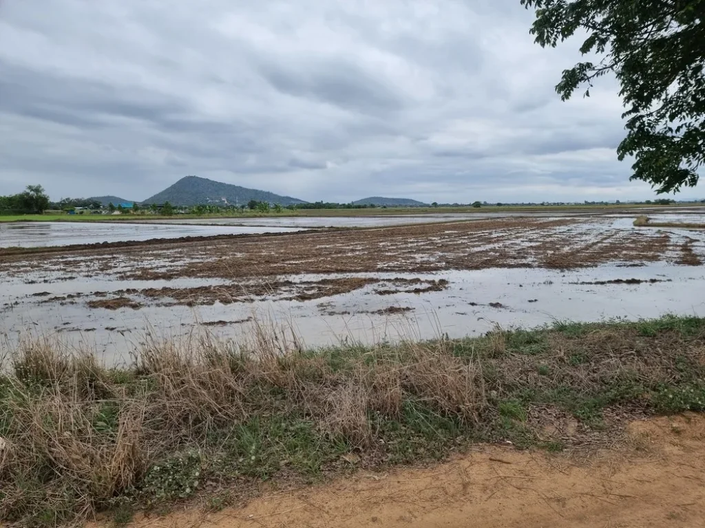 ขายที่ดิน ที่นา วิวเขาสวยมาก 6 งาน 26 ตรว หลังวัดห่อทองคำ ในเมืองชัยนาท คุ้มมากๆ