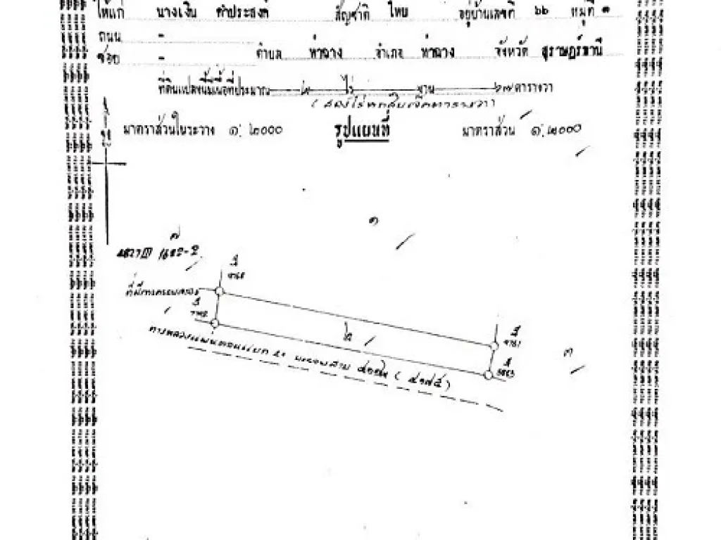 ขายที่ดิน 22 ไร่ ติดถนน ตท่าฉาง อท่าฉาง จสุราษฎร์ธานี