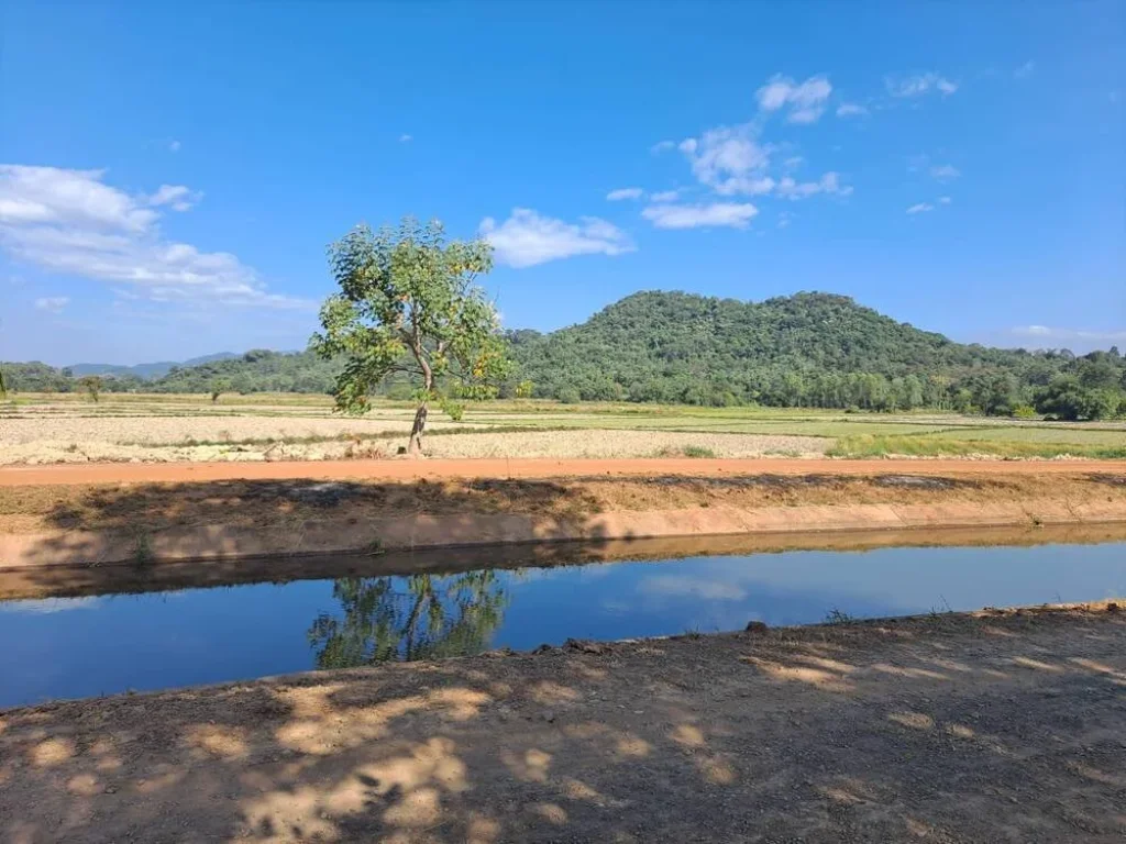 ขายที่ดิน เนื้อที่150 ตรว ตศรีนาวา อเมือง จนครนายก