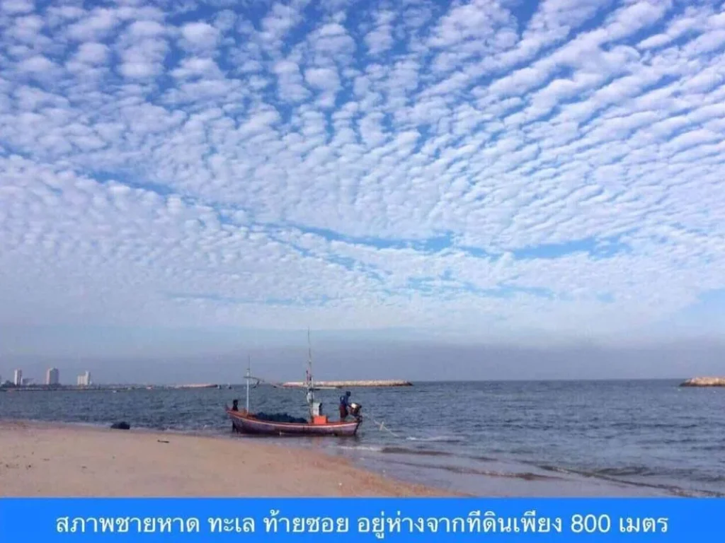 ขายที่ดินทำเลทอง ซอยชะอำ51 ใกล้ทะเลเพียง 800 เมตร ใกล้ถนนเพชรเกษมเพียง 200 เมตร ราคาถูกสุดในย่านนี้