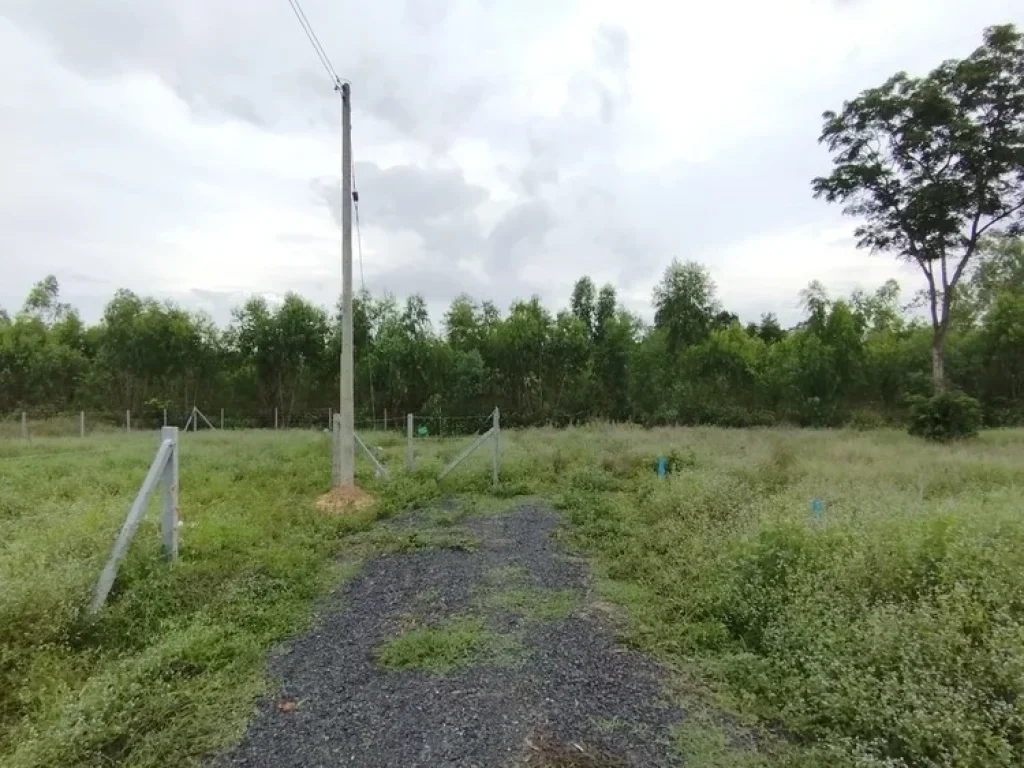 ที่ดินเปล่า ใกล้ โรงพยาบาล50พรรษาและถนนตัดใหม่ เส้นรอบเมืองอุบลฯ