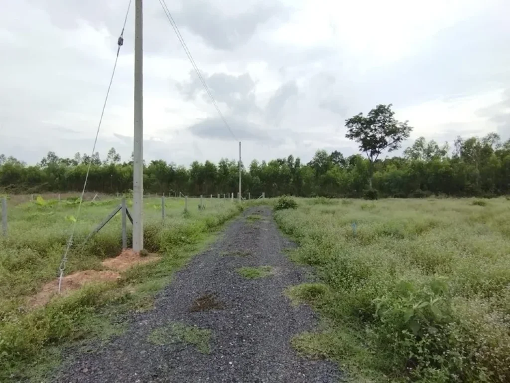 ที่ดินเปล่า ใกล้ โรงพยาบาล50พรรษาและถนนตัดใหม่ เส้นรอบเมืองอุบลฯ