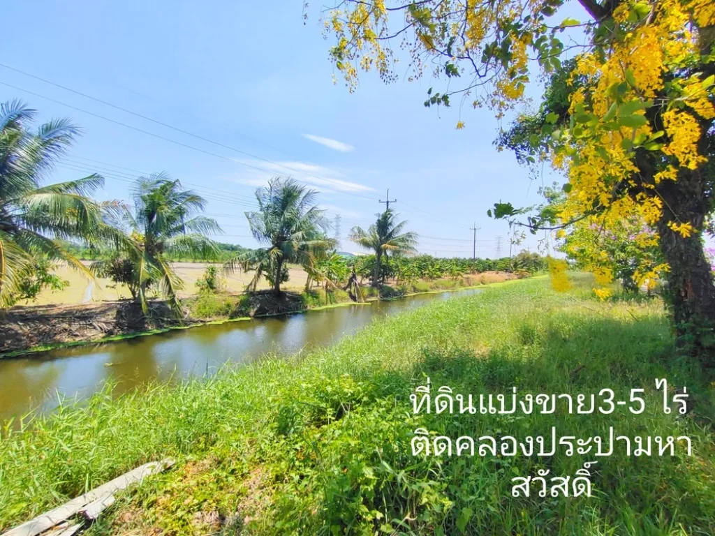 ที่ดินติดคลองประปามหาสวัสดิ์แบ่งขาย 3-5 ไร่ ที่สวยบรรยากาศดี