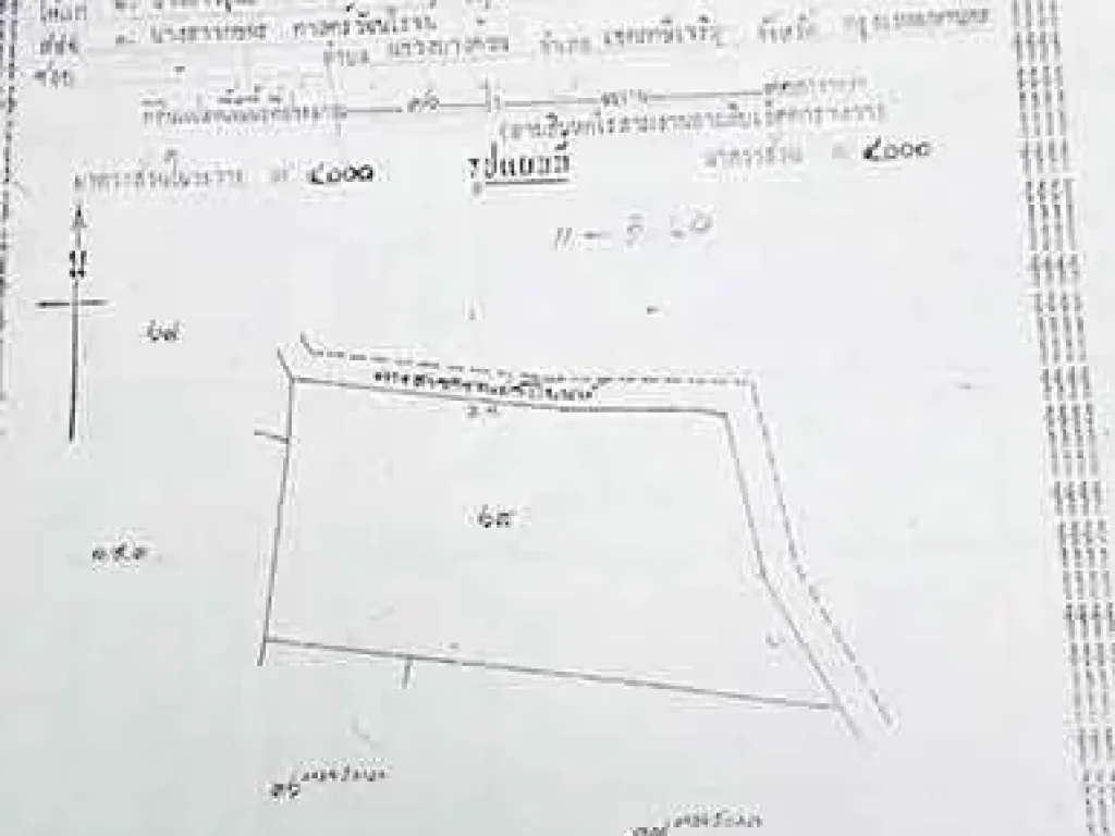 ขายที่ดินแปลงใหญ่ 122 ไร่ หนองผักนาก สามชุก สุพรรณบุรี