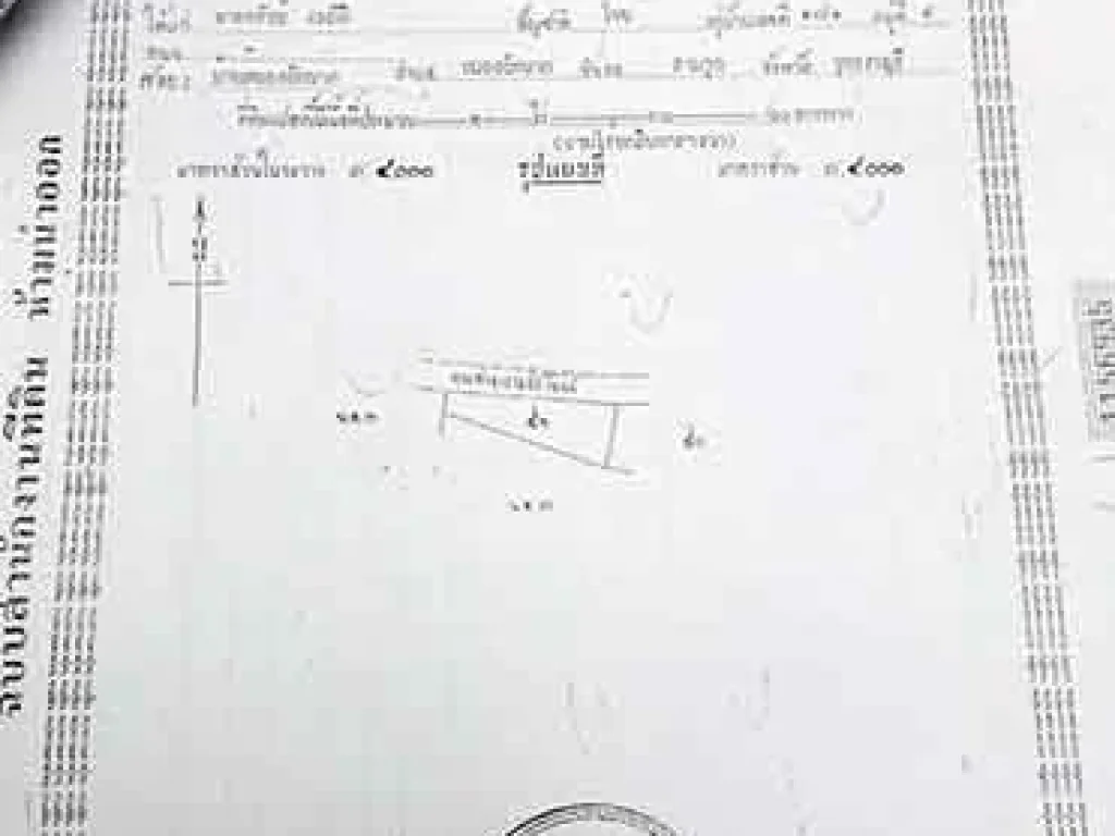 ขายที่ดินแปลงใหญ่ 122 ไร่ หนองผักนาก สามชุก สุพรรณบุรี