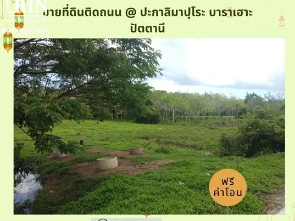 ขายที่ดิน ติดถนนดำ 6 ห้องกว่า 157 ตรวหมู่ 8 ปะกาลิมาปุโระ บาราเฮาะ ปัตตานี