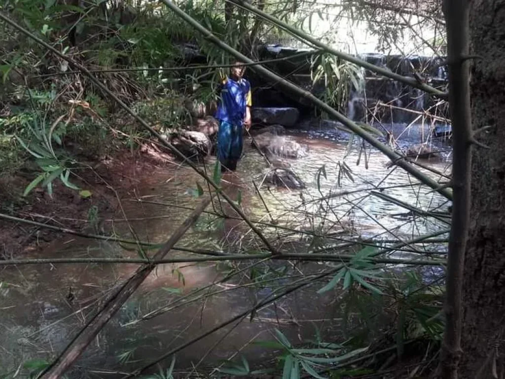 ขายที่ดิน ติดน้ำตกเฒ่าโต้ อยู่ในเขตเทศบาลหนองบัวลำภู