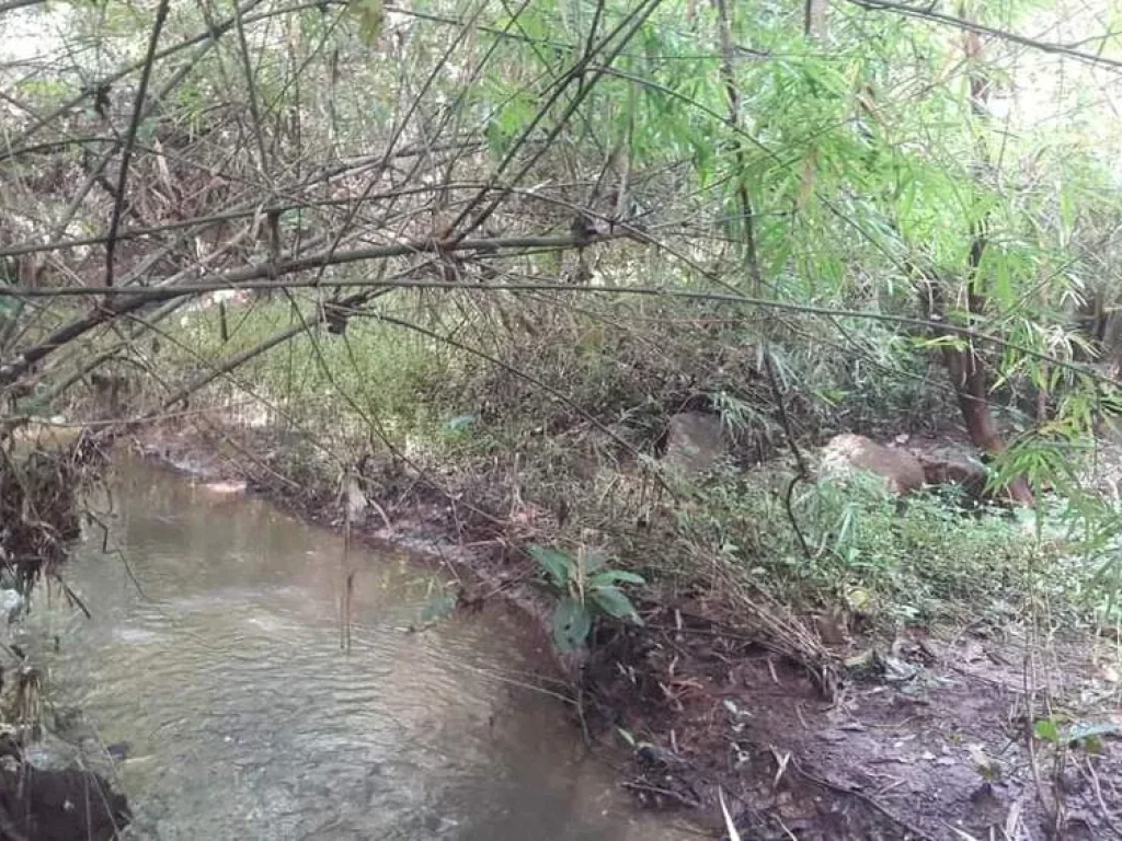 ขายที่ดิน ติดน้ำตกเฒ่าโต้ อยู่ในเขตเทศบาลหนองบัวลำภู