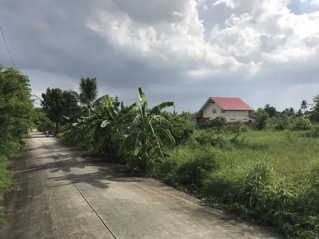 ประกาศขายที่ดินปล่าว เหมาะสำหรับสร้างพื้นที่อาศัย ใกล้เเหล่งท่องเที่ยว