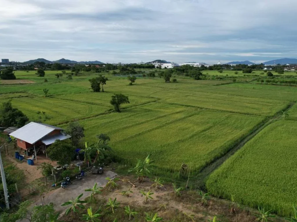 ขายที่นาศรีราชา 4 ไร่ หลังเครือสหพัฒน์ ติดถคอนกรีต ใกล้ท่าเรือแหลมฉบัง - 8 กม จชลบุรี