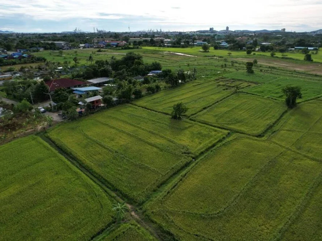 ขายที่นาศรีราชา 4 ไร่ หลังเครือสหพัฒน์ ติดถคอนกรีต ใกล้ท่าเรือแหลมฉบัง - 8 กม จชลบุรี