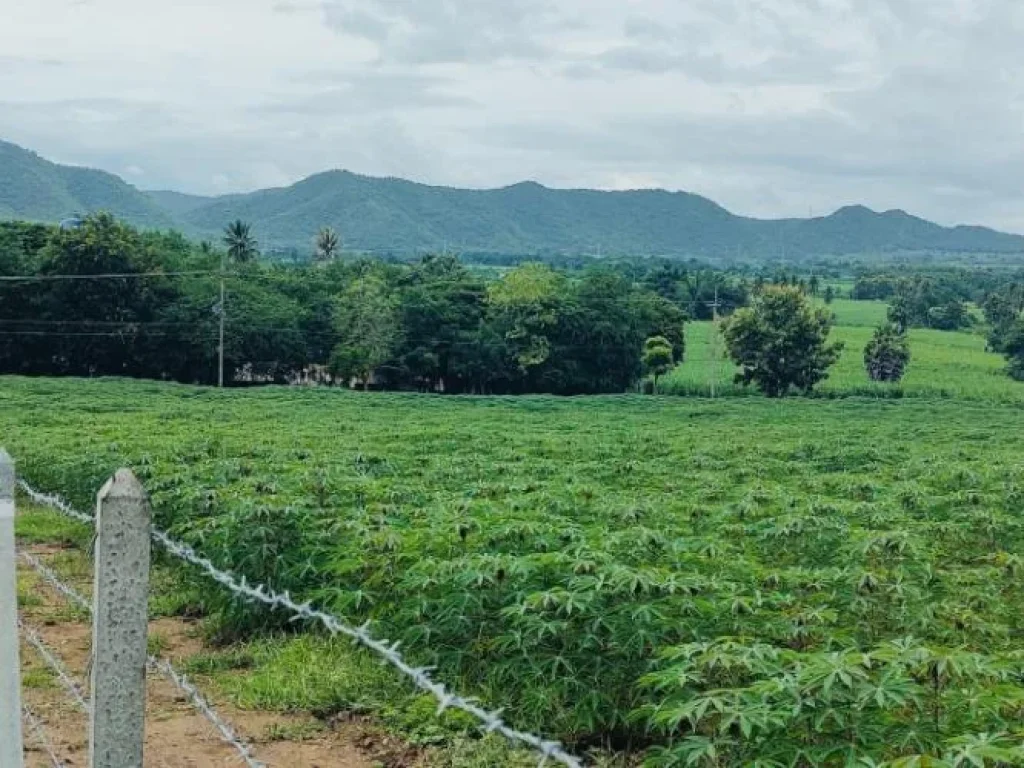 ขายที่ดินเปล่า 8 ไร่ 60 ตรว เหมาะทำการเกษตรกรรม ติดถนนใหญ่