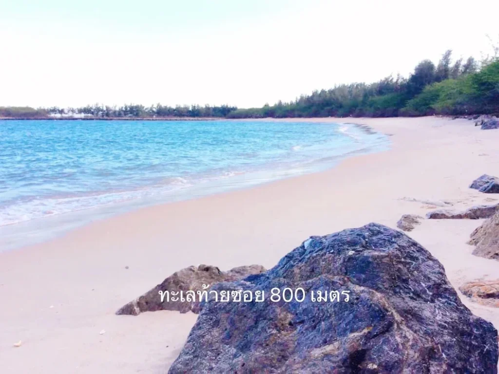 ขาย ที่ดิน ทำเลทอง ติดถนนเพชรเกษม ชะอำ-หัวหิน ใกล้ทะเล 800 เมตร