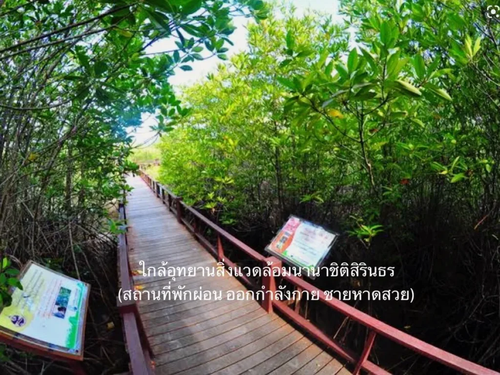 ขาย ที่ดิน ทำเลทอง ติดถนนเพชรเกษม ชะอำ-หัวหิน ใกล้ทะเล 800 เมตร