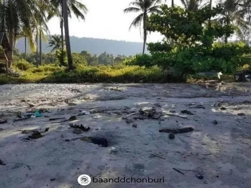 ขายที่ดินติดถนน ติดทะเล บรรยากาศดีเยี่ยม เงียบสงบ จังหวัด ตราด