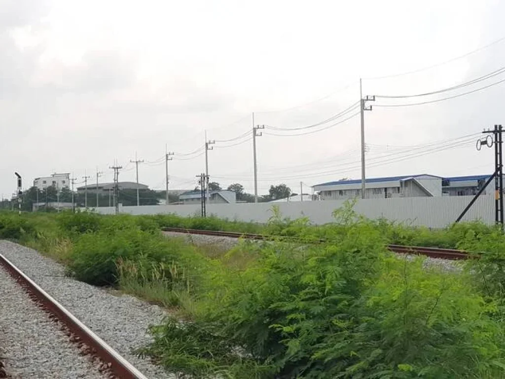 ขายที่ดินติดแนวรถไฟฟ้าความเร็วสูงเชื่อม 3 สนามบิน ใกล้แพลนก่อสร้างบมจอิตาเลี่ยนไทย บ้านแหลมแค จังหวัดชลบุรี