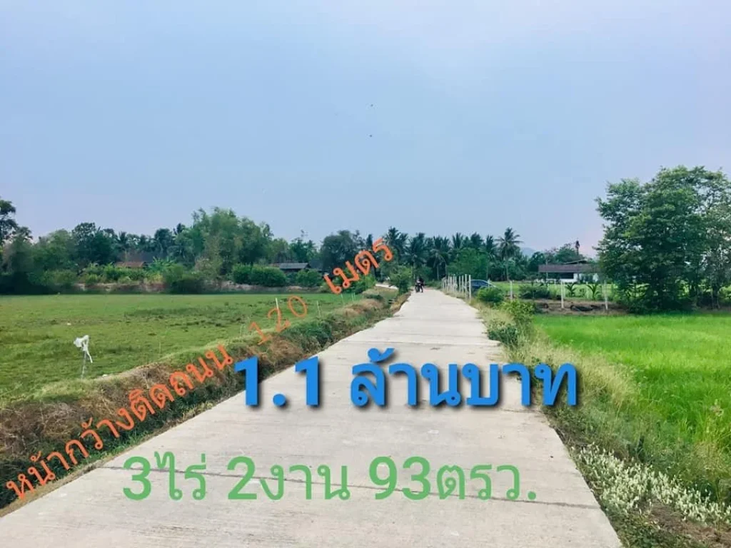 ที่ดินสวยวิวภูเขาทุ่งนาป่าตาล ในชุมชน อุดมสมบูรณ์ 3ไร่2งาน93ตรว หน้ากว้างติดถนน-คลอง ใกล้ไฟฟ้า-ประปา