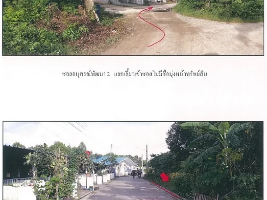 ขายที่ดินเปล่า 1 แปลง ถนนสุขุมวิท ตเชิงเนิน เมืองระยอง