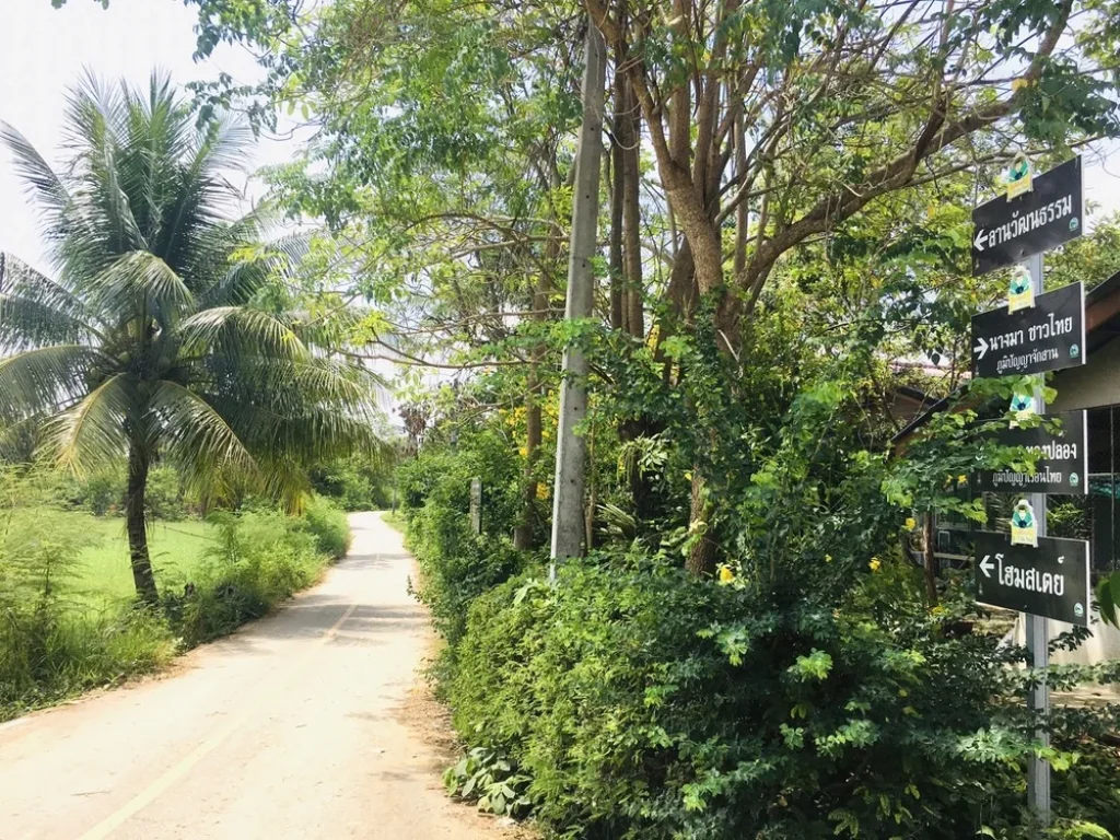 ที่ดินสวย วิวภูเขา ทุ่งนาป่าตาล บรรยากาศดีอุดมสมบูรณ์ 2ไร่68ตรว ในชุมชน-ติดถนน-คลอง-หมู่บ้าน-แหล่งเที่ยว