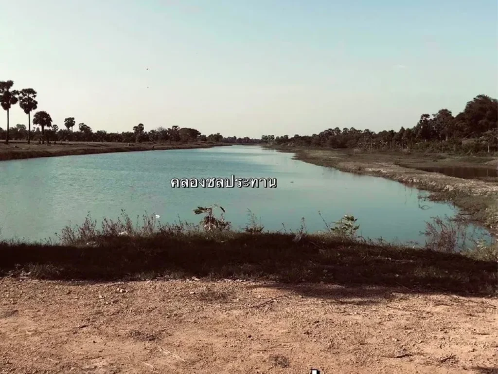 ขายที่ดิน พื้นที่สวย ด้านหน้ามีถนนตัดผ่าน ตำบลม่วงงาม สงขลา