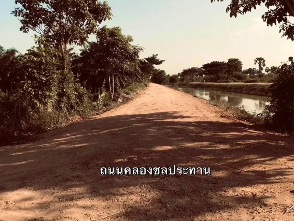 ขายที่ดิน พื้นที่สวย ด้านหน้ามีถนนตัดผ่าน ตำบลม่วงงาม สงขลา