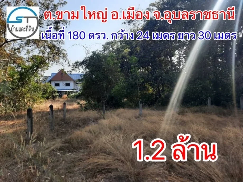 ขายที่ดินข้างสนามกอล์ฟขามใหญ่ เนื้อที่ 180 ตารางวา รูปแปลงที่ดินสวยมาก