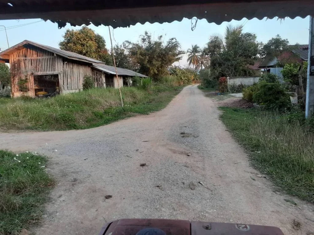 ขายที่นาใกล้สะพานมิตรภาพไทย-ลาว บ้านสถาน ตสถาน อเชียงของ จเชียงราย