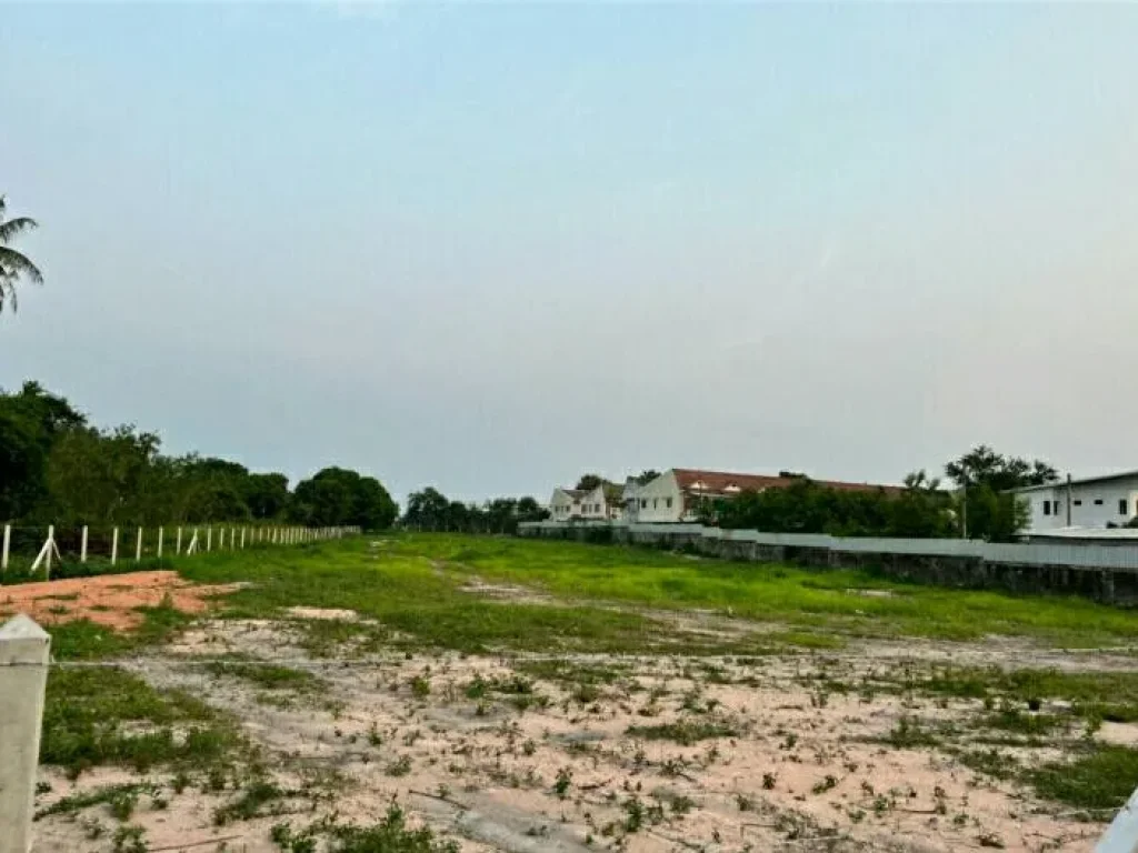 ขายด่วน ที่ดินใกล้หาดพลา บ้านฉาง ระยอง รูปแปลงสวย หน้ากว้างติดถนนคอนกรีต