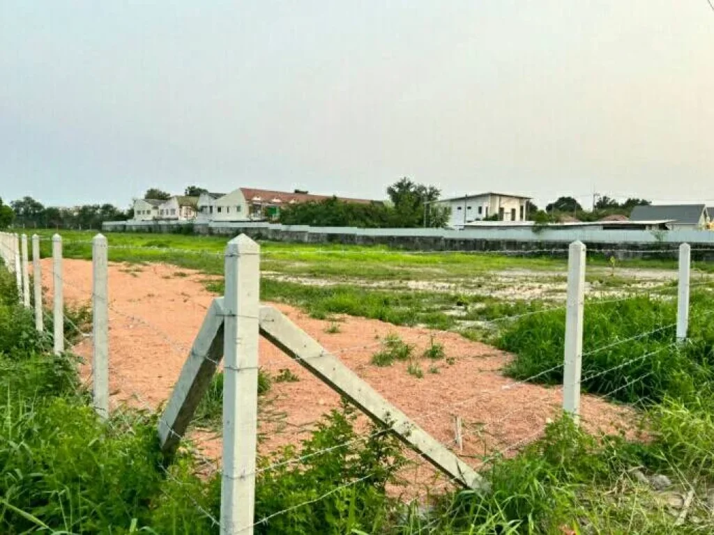 ขายด่วน ที่ดินใกล้หาดพลา บ้านฉาง ระยอง รูปแปลงสวย หน้ากว้างติดถนนคอนกรีต