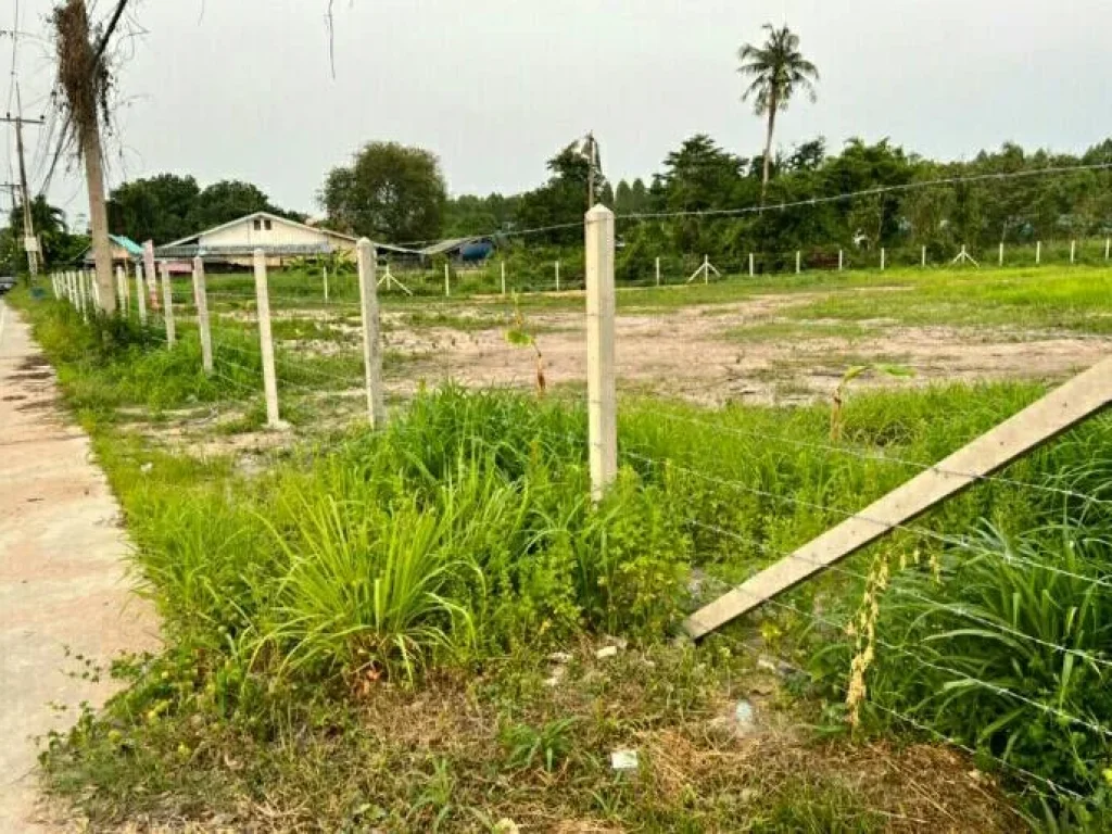 ขายด่วน ที่ดินใกล้หาดพลา บ้านฉาง ระยอง รูปแปลงสวย หน้ากว้างติดถนนคอนกรีต