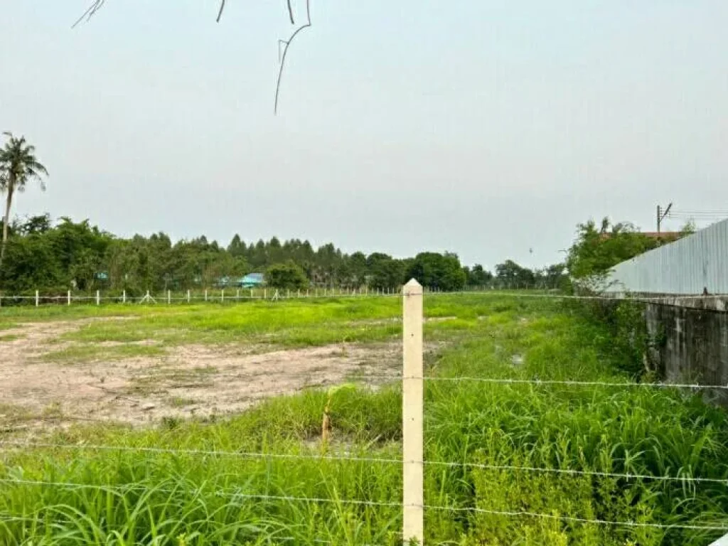 ขายด่วน ที่ดินใกล้หาดพลา บ้านฉาง ระยอง รูปแปลงสวย หน้ากว้างติดถนนคอนกรีต